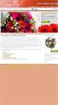 Mobile Screenshot of carrollstheflorist.co.uk